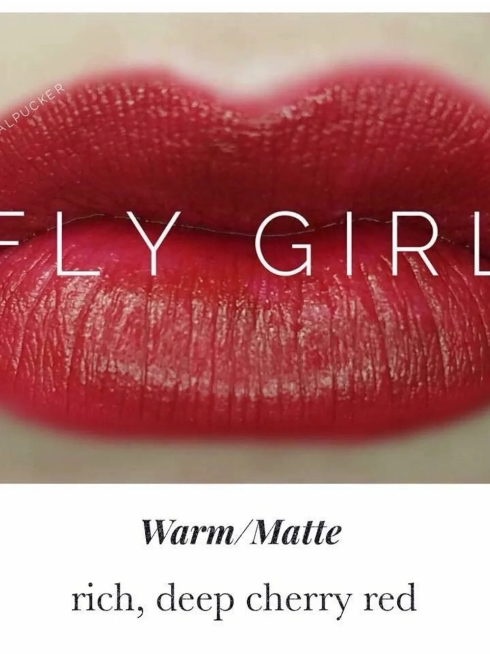 Lipsense by SeneGence new never opened full sized long lasting lipstickFly Girl